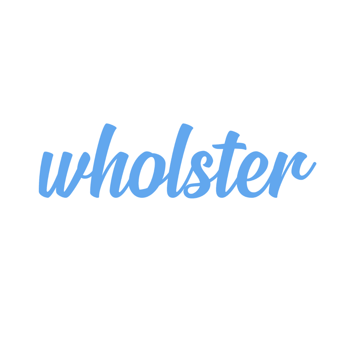 Wholster