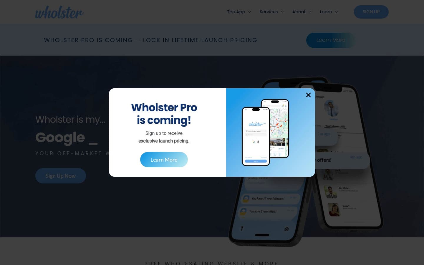 Auto-captured · Homepage (https://wholster.app/)