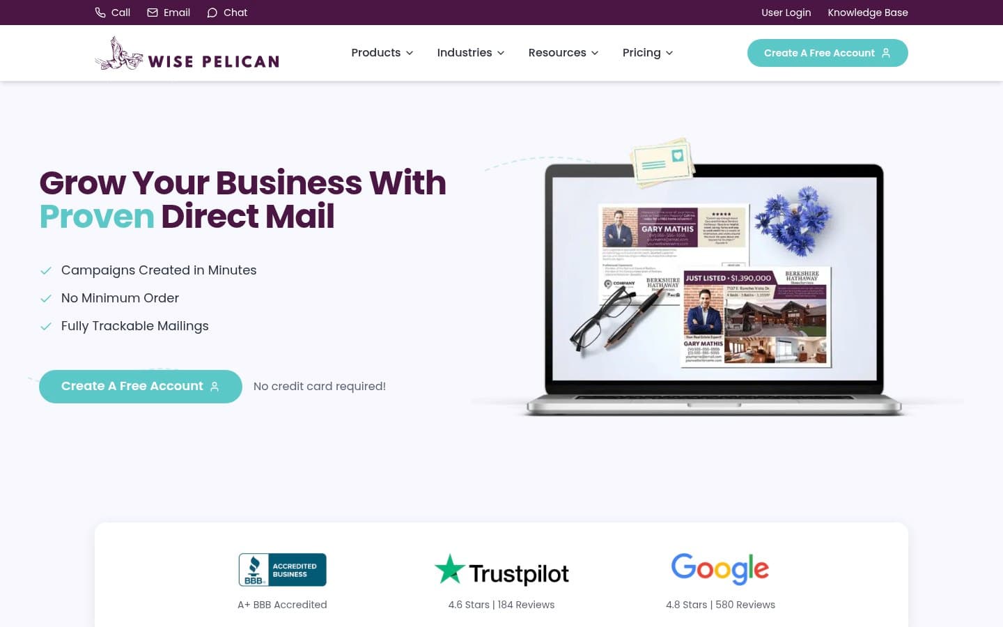 Auto-captured · Homepage (https://wisepelican.com/)